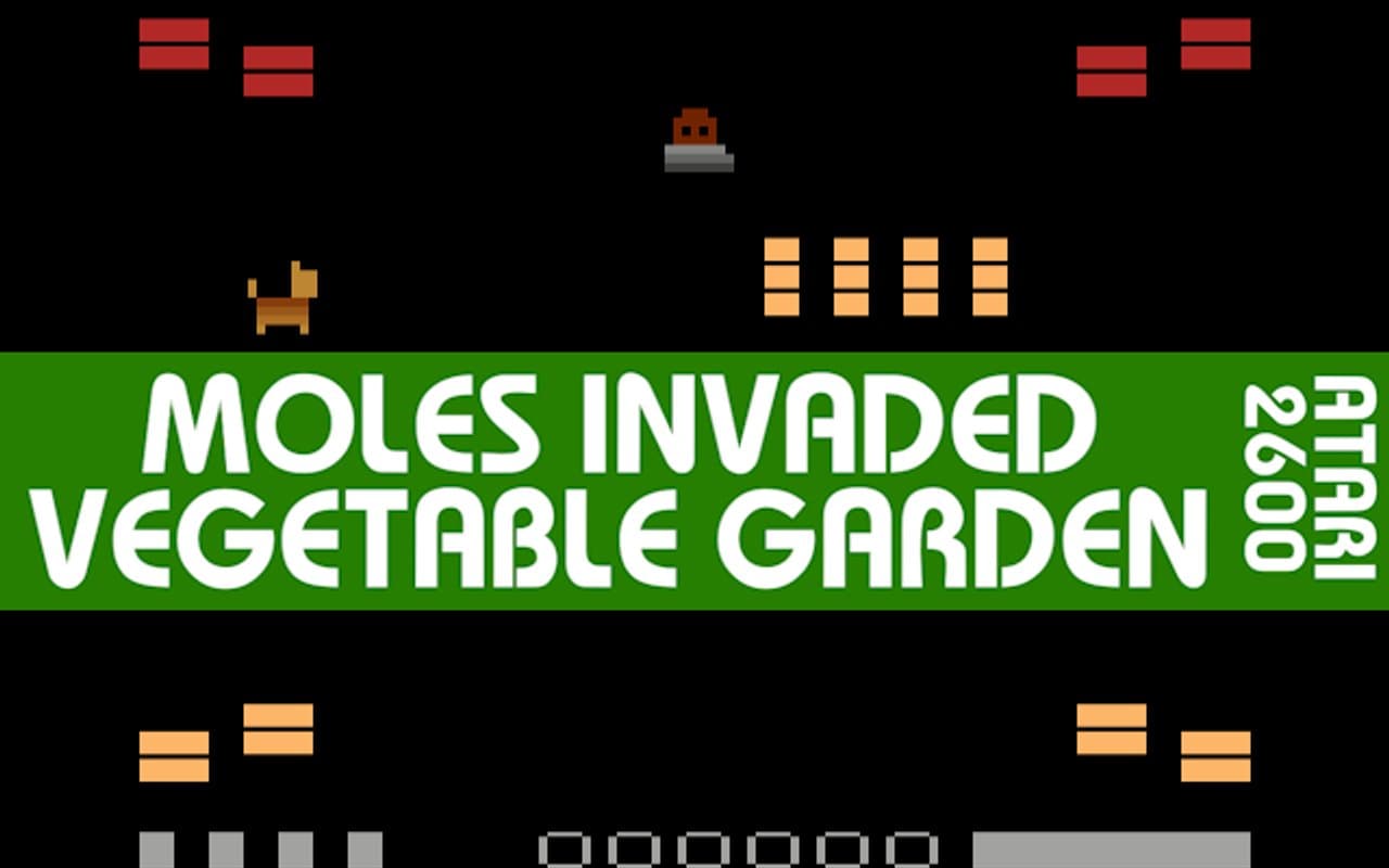 Portada de Moles Invaded Vegetable Garden