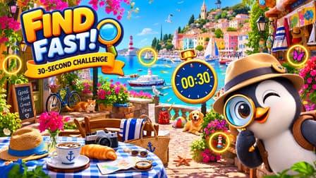 Portada de Find Fast