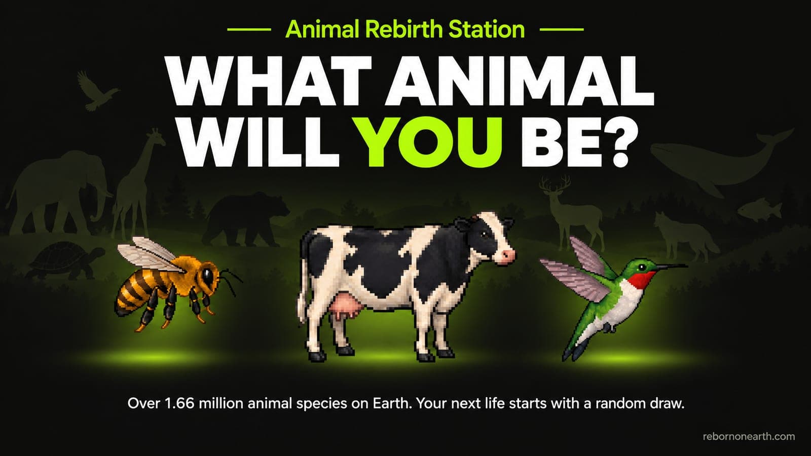 Portada de Animal Rebirth Station