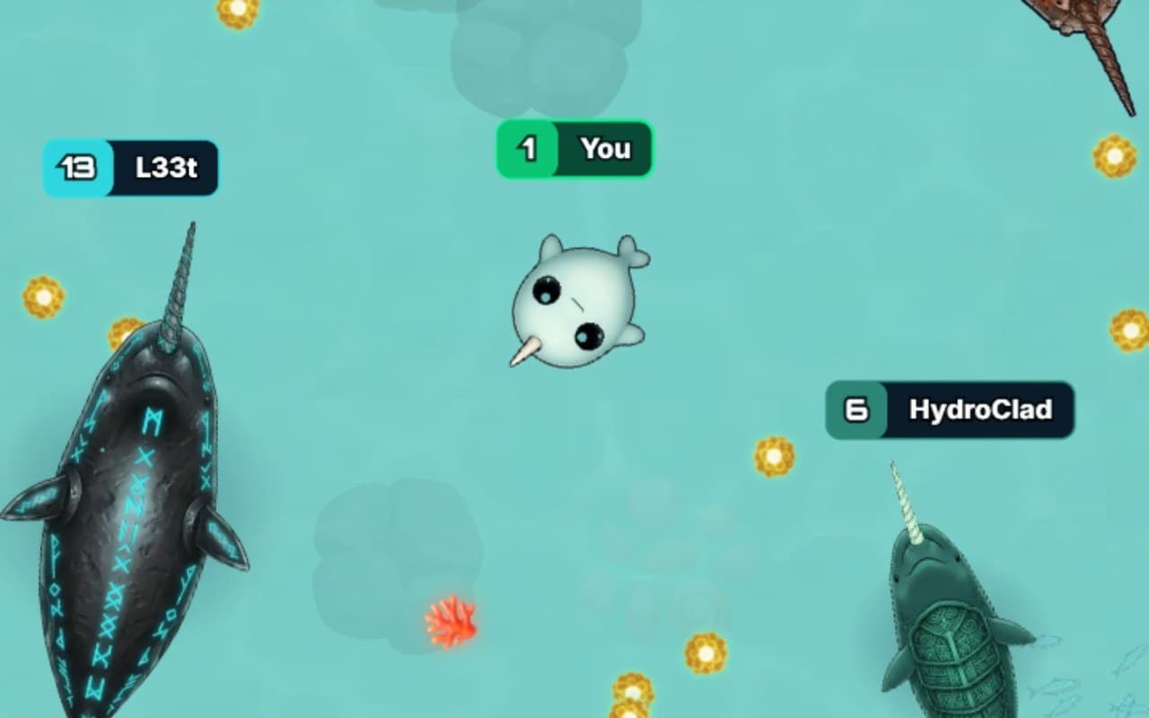 Narwhal.io cover