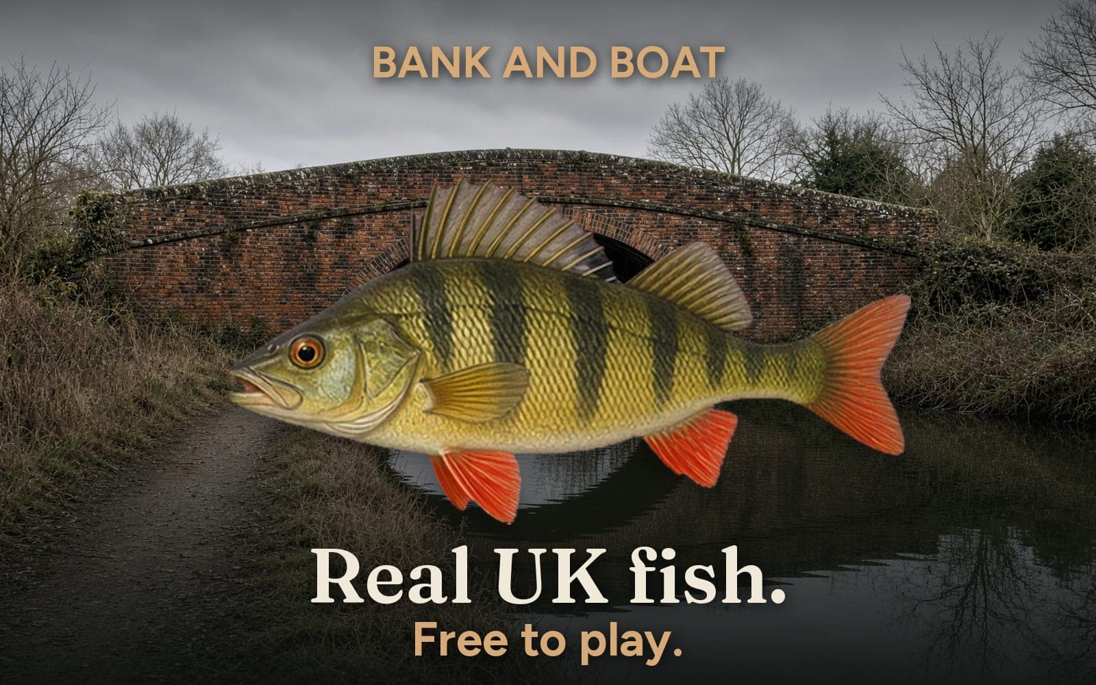Bank and Boat cover