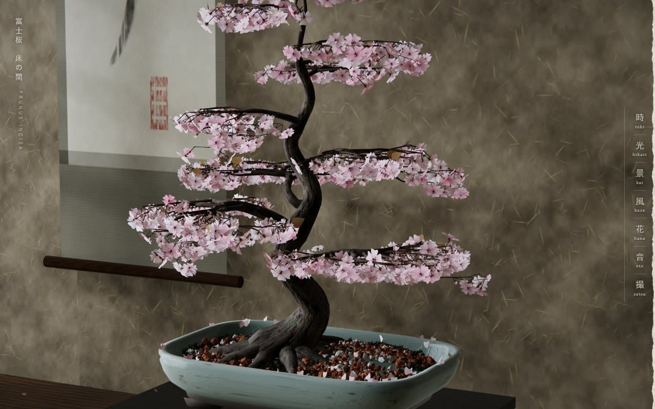 Tokonoma — Fuji Cherry Bonsai cover